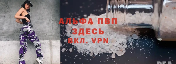 гашик Ельня