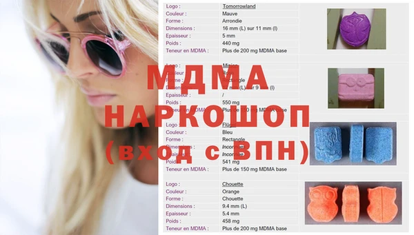 индика Бородино