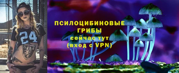 индика Верхнеуральск